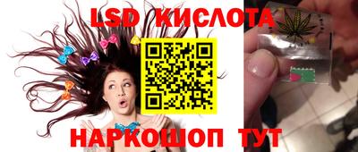 СК Будённовск