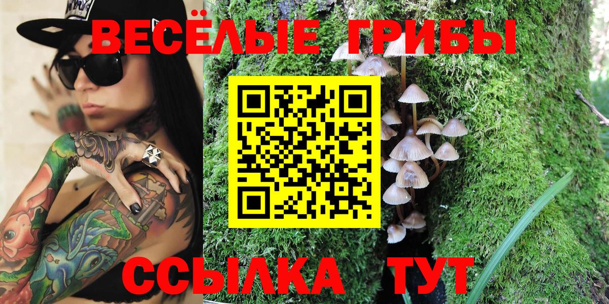 Спасск-Дальний  Галлюциногенные грибы Psilocybe  хочу наркоту  Вход с VPN  Галлюциногенные грибы прущие грибы 